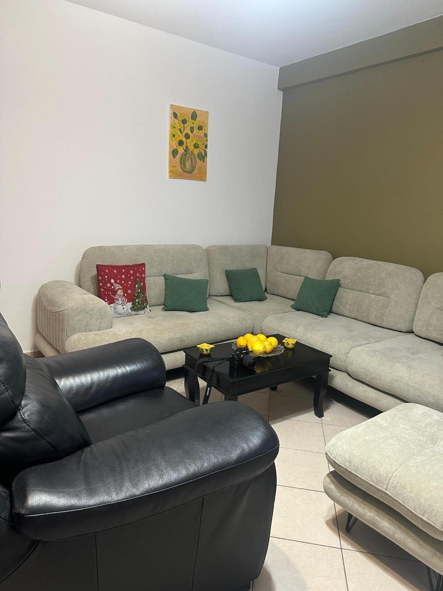 Brejsa's Nest Apartmán Tirana